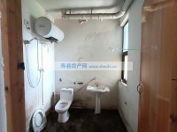 其它图