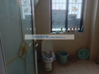 其它图