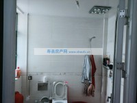 其它图