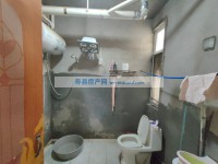 其它图