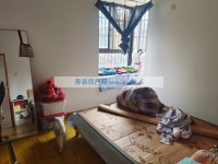 其它图