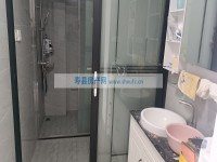 其它图