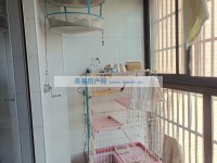 其它图