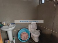 其它图