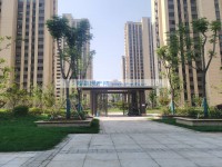 其它图