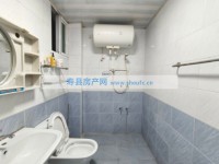 其它图