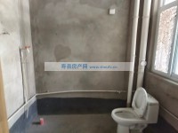 其它图