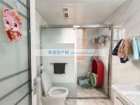 其它图