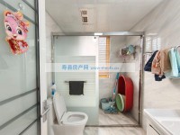其它图