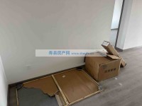 其它图