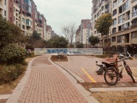 其它图
