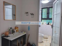 其它图