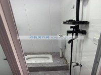 其它图