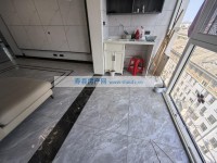 其它图